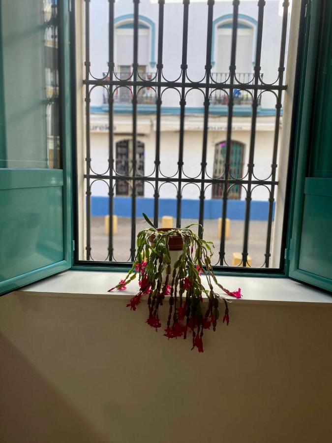 Nuevo Apartamento Alameda 塞维利亚 外观 照片
